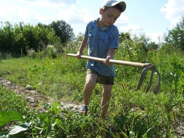 Олександр Міщук. 17 «лайків»